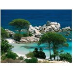 Puzzle adulte plage de palombaggia - 1000 pieces - collection nathan porto - vecchio en corse Puzzle adulte plage de palombaggia - 1000 pieces - collection nathan porto - vecchio en corse