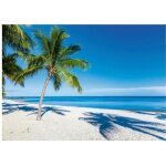 Puzzle adulte : plage paradisiaques avec palmiers - 1000 pieces - ravensburger - collection mer et paysage ...