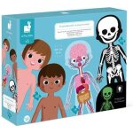 Puzzle g�ant corps humain 350pi�ces