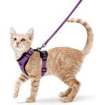Rabbitgoo harnais chat harnais pour chaton / petit chien harnais anti - traction avec bandes rflchissantes ...
