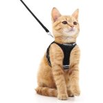 Rabbitgoo harnais chat harnais pour chaton / petit chien harnais respirant et bande rflchissante rglables ...