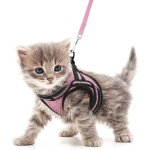 Rabbitgoo harnais chat harnais pour chaton / petit chien harnais respirant et bande r�fl�chissante r�glables ...