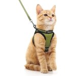 Rabbitgoo harnais chat harnais pour chaton / petit chien harnais respirant et bande r�fl�chissante r�glables ...