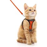 Rabbitgoo harnais chat harnais pour chaton / petit chien harnais respirant et bande r�fl�chissante r�glables ...