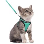 Rabbitgoo harnais chat harnais pour chaton / petit chien harnais respirant et bande r�fl�chissante r�glables ...