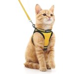 Rabbitgoo harnais chat avec laisse harnais chaton respirant et bande rflchissante gilet petit chien ...