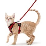 Harnais chat petit chien laisse harnais chaton rglable rouge xs collier harnai chat reflchissant gilet ...