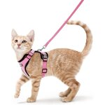 Rabbitgoo harnais chat harnais pour chat / petit chien laisse harnais chat rose s collier harnai chat ...