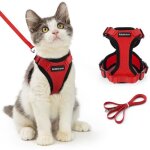 Rabbitgoo harnais chat harnais pour chat / petit chien laisse harnais chat rouge s collier harnai chat ...