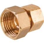 Raccord bicne droit laiton - f 1 / 2 - diamtre 10 mm