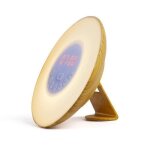 Radio - rveil digital simulateur daube