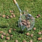 Ramasse noix - lucifer - boule avec manche inox - gris - manuel Ramasse noix - lucifer - boule avec manche inox - gris - manuel