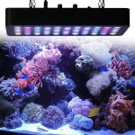 Rampe led aquarium spectrum complet 165w - outad - gradateurs pour rcif corail et poisson