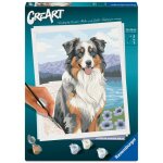 Ravensburger ? creart 24x30 cm ? adulte ? peinture par num�ros ? berger australien ? loisir cr�atif ? ...