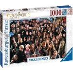 Ravensburger - puzzle 1000 pices harry potter (challenge puzzle) - fantastique - mixte - a partir de ...