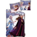 Housse de couette - reine des neiges 2 - 140x200 cm - taie 63x63 cm - microfibre - lavable en machine ...