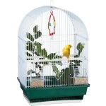 Relaxdays cage à oiseaux volière pinsons canaris perchoir mangeoire h x l x p 495 x 345 x 28 cm blanc ... Relaxdays cage à oiseaux volière pinsons canaris perchoir mangeoire h x l x p 495 x 345 x 28 cm blanc ...