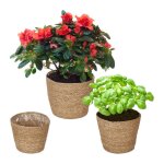 Relaxdays pot de fleur en zost�re lot de 3 pour herbes plantes & fleurs 3 tailles cache - pot film plastique ...