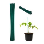 Relaxdays tuteur � tomates avec fil de fer en lot de 50 pour jeunes plantes en bambou h x d�: env. 30 ...