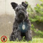 R�pulsif anti - nuisible � ultrasons rechargeables pour les animaux de compagnie petrep innovagoods