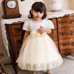 Robe princesse bébé fille manches courtes paillettes pour mariage cérémonie - champagne blanc Robe princesse bébé fille manches courtes paillettes pour mariage cérémonie - champagne blanc