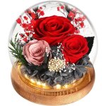 Rose Éternelle cadeau de fête des mères dôme verre rose Éternelle avec lumière led cadeau pour femme ... Rose Éternelle cadeau de fête des mères dôme verre rose Éternelle avec lumière led cadeau pour femme ...