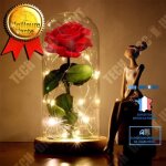 Rose ternelle - tech discount - sous cloche en verre - led lumineux - socle en bois - rouge