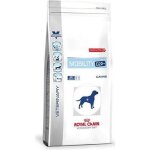 Croquettes pour chien - royal canin - vdiet dog mobility c2p + - 2 kg - junior - mobilit� articulaire ...