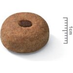 Royal canin - croquettes maxi sterilised pour chien adulte strilis - 3kg