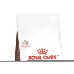 Aliment dittique complet - royal canin - gastro intestinal kitten - 400 gr - pour chatons - trs digestible ...