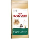 Royal canin maine coon 31 - croquettes - 10 kg