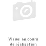 Croquettes pour chaton maine coon - royal canin - 10 kg - alimentation complte et quilibre