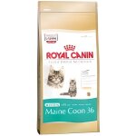 Croquettes pour chat - royal canin - kitten maine coon 36 - 36% protines - 23% matires grasses - 5 ...