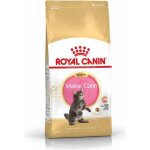 Croquettes pour chaton - royal canin - maine coon kitten - 2 kg - hygine bucco - dentaire - dfenses ...
