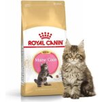 Royal canin maine coon kitten - aliments secs pour chatons - 4 kg