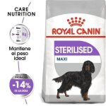 Royal canin maxi sterilised aliments pour chiens adultes de grande taille 12 kg