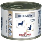 Royal canin p�t�e recovery - pour chien et chat en convalescence - 12x195 g