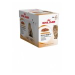 Royal canin - sachets intense beauty en gelée pour chat - 12x85g Royal canin - sachets intense beauty en gelée pour chat - 12x85g
