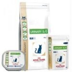 Royal canin vdiet chat urinary so lp34 6 kg