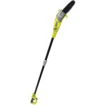 Ryobi - lagueur sur perche 750 w - guide 25 cm inclin  15 - 10 m / s - tube dextension 90 cm fourni ...