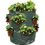 Sac à fraisiers - sac de plantation pour fraises - x2 Sac à fraisiers - sac de plantation pour fraises - x2
