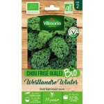 Sachet graines chou frisé ( kale ) westlandse winter bio - brassica oleracea var. sabellica - Sachet graines chou frisé ( kale ) westlandse winter bio - brassica oleracea var. sabellica -