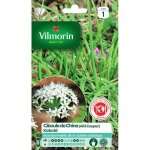 Graine - vilmorin - ciboule de chine - cuisine du monde