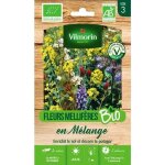 Sachet graines fleurs mellifères en mélange pour engrais vert bio - Sachet graines fleurs mellifères en mélange pour engrais vert bio -