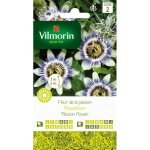 Graines - vilmorin - fleur de la passion (passiflore)