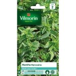 Sachet de graines menthe marocaine -