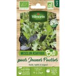 Sachet de graines mesclun asiatique pour jeunes pousses bio -