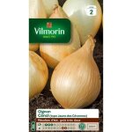 Sachet graines oignon c�nol ( type jaune des c�vennes ) -