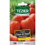Sachet graines - tezier - tomate cuor di bue - sachet lgume petit modle - (mois de semis de 2  5)