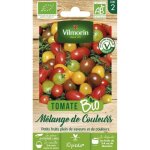 Sachet de graines de tomates cerises bio vilmorin: couleurs et saveurs en mlange -